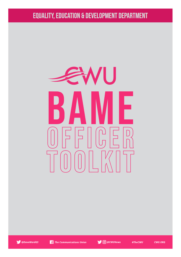 BAME Officer Toolkit image