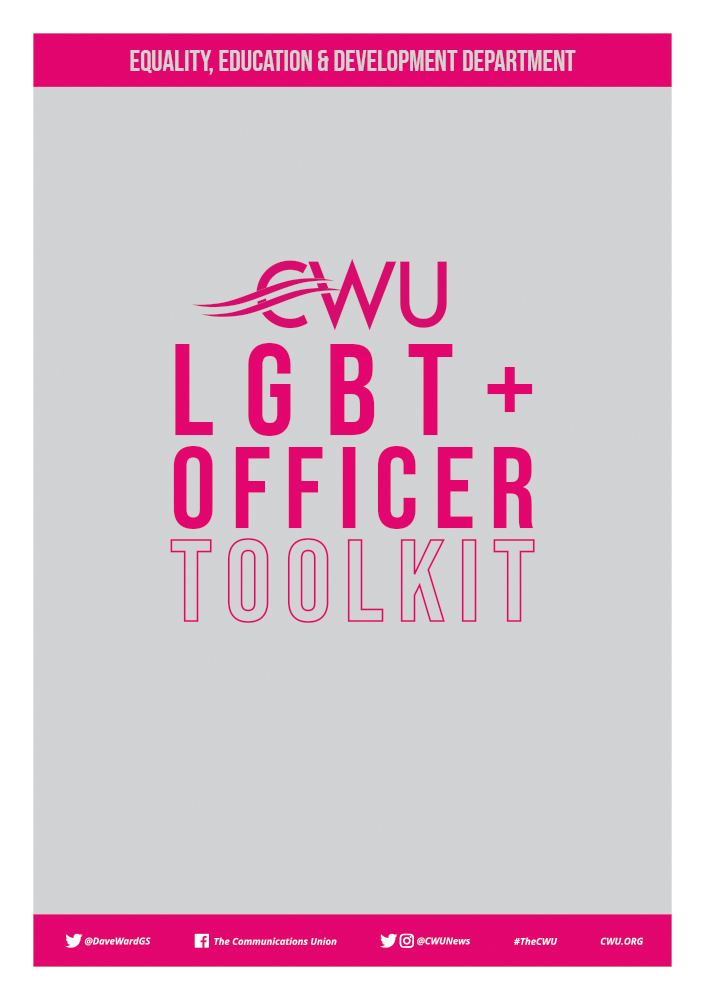 LGBT+ Officer Toolkit image
