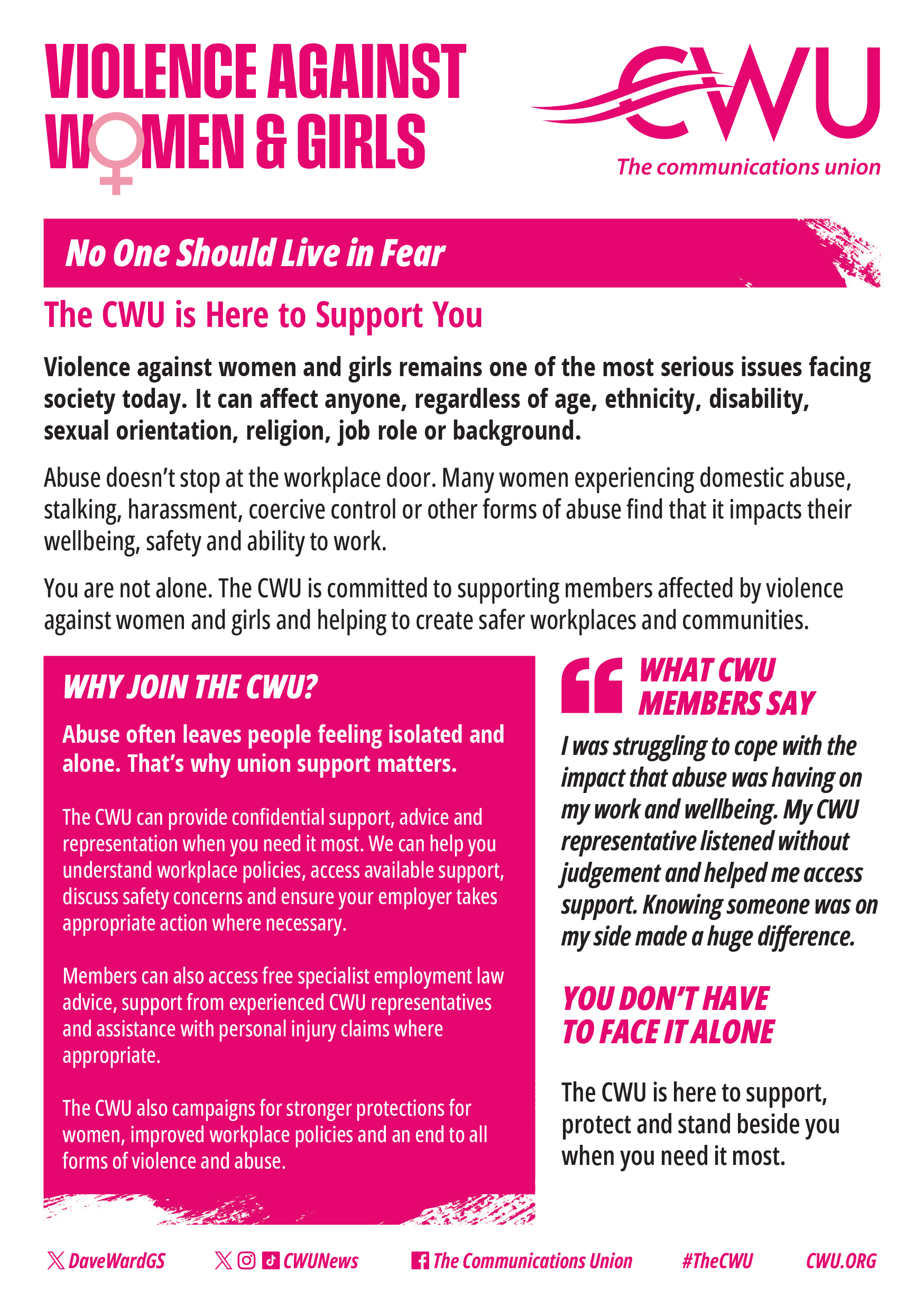 Violence Against Women & Girls image