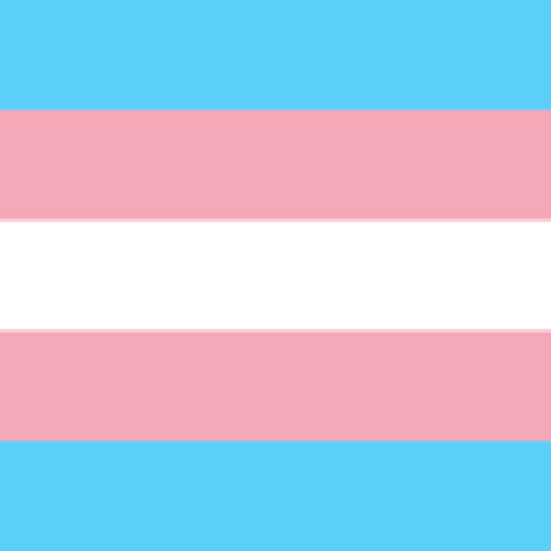 Introducing our Trans 101 course Image